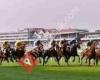 Haydock Park Racecourse