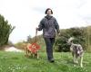 Helens Hounds Dog Walker & Pet Care