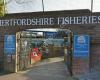 Hertfordshire Fisheries