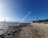 Hessle Foreshore