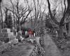 Highgate Cemetery