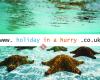 Holiday In A Hurry