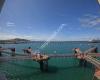 Holyhead Ferry Terminal