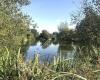 Home Farm Fishery and Campsite