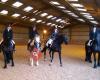 Honley Livery Stables