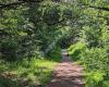 Howardian Local Nature Reserve