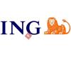 ING Wholesale Banking - ING European Financial Services PLc