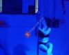 Inverted Circus and Pole Fitnesss