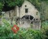 Jesmond Dene Park