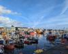 Kilkeel Harbour