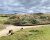 Kingsbarns Golf Links