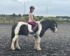 Landlords Farm Equestrian Centre