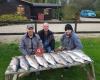 Lechlade and Bushyleaze Trout Fisheries