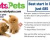 Liverpool Vets4Pets