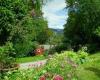 LLANWENARTH COTTAGE