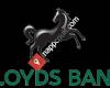 Lloyds Bank Commercial Finance