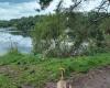 Longlands Lake Car Park