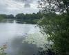 Longton Brickcroft Nature Reserve