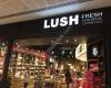 Lush Lakeside | Fresh Handmade Cosmetics