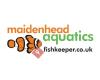 Maidenhead Aquatics Lincoln