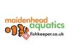 Maidenhead Aquatics at Bridgend
