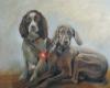 Mary Dodd's Portraits - Pets - People