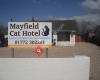 Mayfield Cat Hotel Cattery