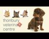 Medivet The Vets Horley - Thornbury Veterinary Centre - Kiran Sehgal Ltd.