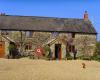 Middle Upcott Farm Bed and Breakfast + A2B Horse Transport (See Website).
