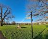 Mill Hill Park Playground