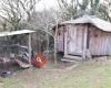 Mill Valley Yurts