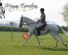 Morgan Equestrian