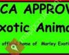Morley Exotic Animal Rescue
