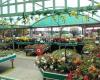 Mud Island Garden Centre