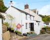 Napier Cottage dog-friendly bed and breakfast