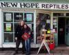 New Hope Reptiles
