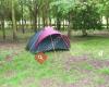 Newbourne Woodland Campsite