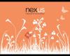 Nexus Independent Financial Advisers Ltd