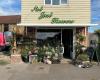 Not Just Flowers Ltd