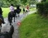 Outovercott Riding Stables & New Mill Farm Holiday Cottages