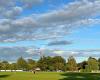 Overstone Park Cricket Club