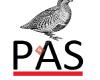 Partridge Accountancy Services Ltd