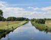 Pelsall North Common