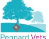 Pennard Vets Langley Park