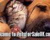 petsforsaleuk.co.uk