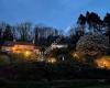 Pink Heather Holiday Cottages - North Devon