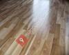 Polfloor Flooring Fitting Servisec- Laminate...