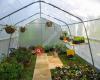 Polytunnels By Haygrove