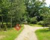 Poole & Wimborne Woodland Burial Ground