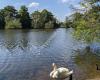 Poynton Pool Car Park